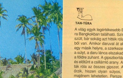 hírkép