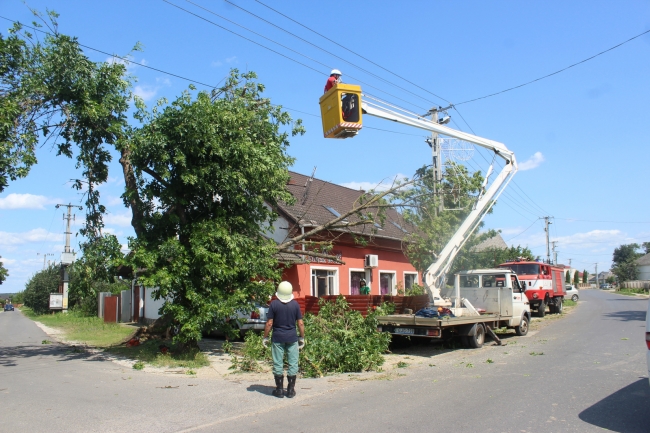 hírkép