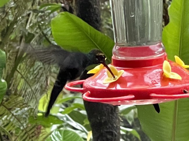 Ecuador – az Egyenlítő varázsa 