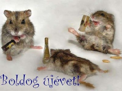 hírkép