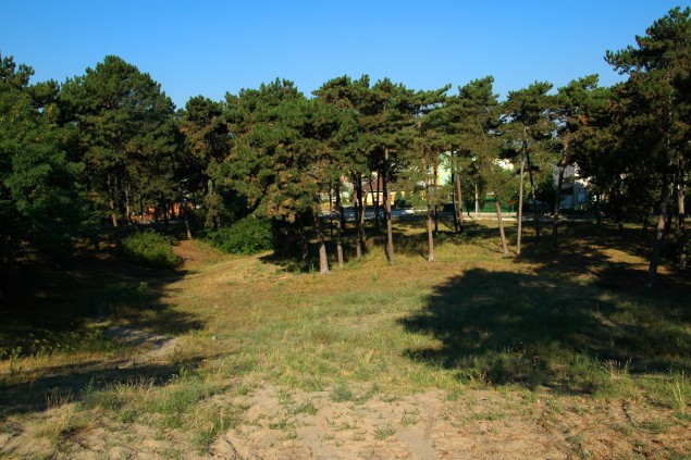 hírkép