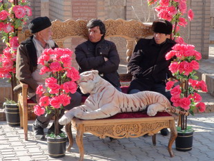 DSC05284_resize.JPG